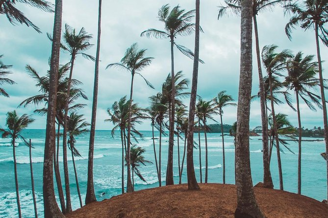 03 Days Beach Holidays in Sri Lanka with Kingfisher - Colombo Fort City Tour: Galle Face Green, Temples, Squares, and Shopping