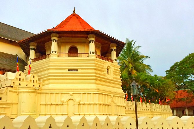 05 Day Explore Sri Lanka - Day 4: Royal Botanical Gardens, Gadaladenia temple, and stilt fishermen