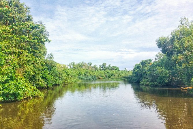 05 Day Explore Sri Lanka - Day 2: Sigiriya fortress views, a craft village feel, and an Ayurveda hour