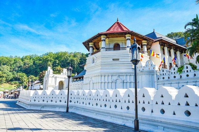05 Days Glimpse Of Sri Lanka - Day 1: Spice Garden + Dambulla Cave Temple + Minneriya elephants