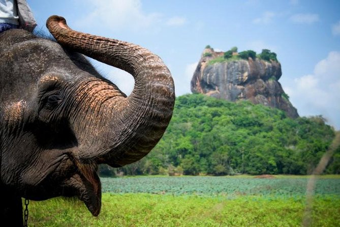 05 Days Glimpse Of Sri Lanka - Price and what $470.40 per group really buys