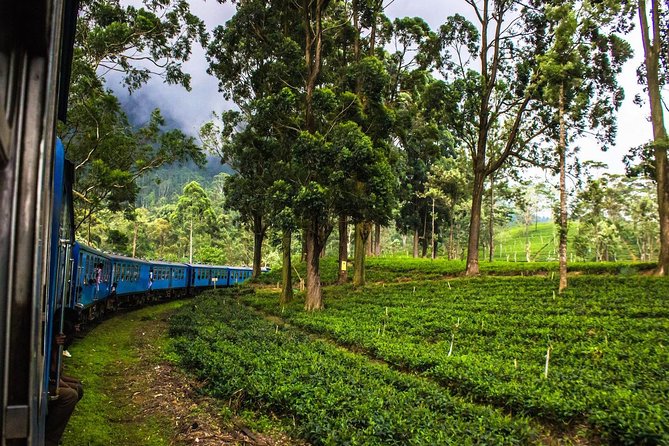 07 Days Amazing Experience - Day 2: Dambulla Cave Temple, Kandy dinner, and an optional Habarana village spin