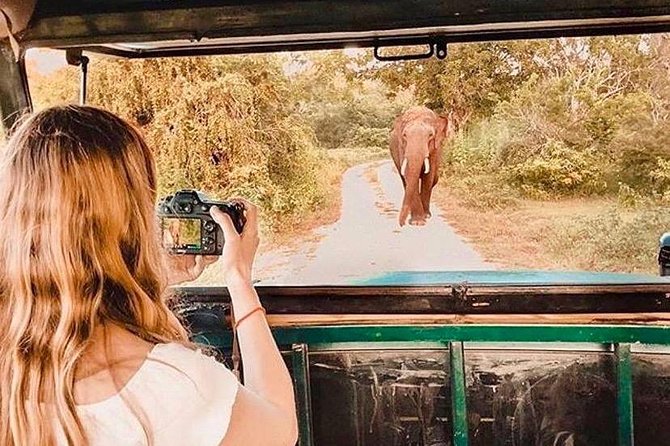 08 - Day Classic Tour with English speaking drive and Private luxury vehicles - How this Sri Lanka classic route keeps you comfortable