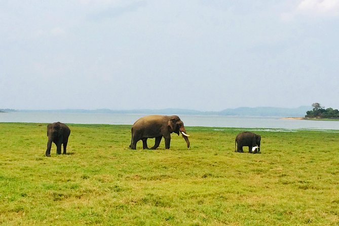 10 Day Explore Sri Lanka - Sigiriya Rock Fortress and Polonnaruwa Vatadage, ancient sites with real viewpoints