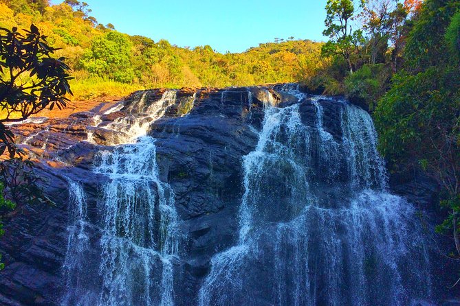10 Day Explore Sri Lanka - Horton Plains early start, then the Ella train and Nine Arches Bridge