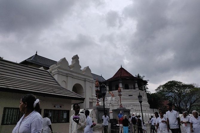 10 Day Round tour In Sri Lanka - Day 7 is your big adventure day: Sigiriya climb, Pidurangala views, then Minneriya elephants