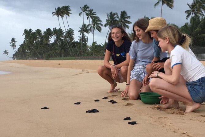 10-Day Sri Lanka Escape – Culture, Wildlife & 3 stars Hotels - Ella and the Gregory Lake moment, plus the scenic rail ride