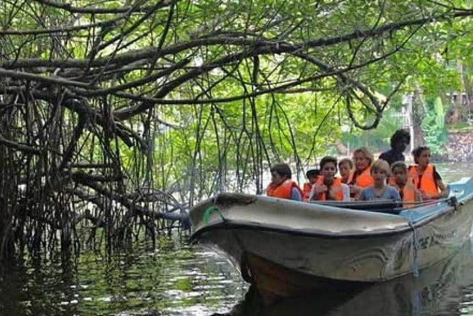10 Days 9 Nights Sri Lanka Tour - Multi Day Tour - Waterfalls to Yala: the safari day that turns into beach time