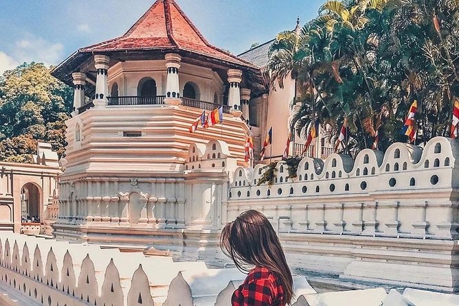 10-Days Private tour package. English speaking driver and Private luxury vehicle - Colombo Airport Arrival: Garlands, Pickup, and a Calm First Evening