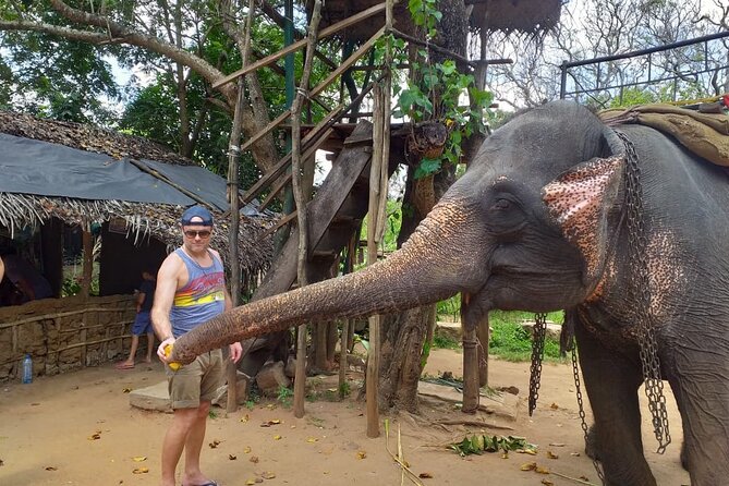 12 Days Sri Lanka Island Adventure and Wild Tour - Yala National Park: night safari energy and a BBQ after the wild