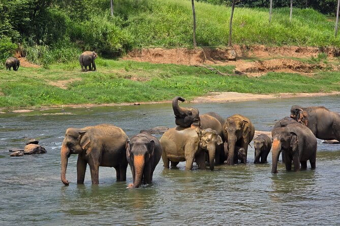 12 Days Tour Grand Discovery of Sri Lanka - Negombo Lagoon boat time, plus pickup and a no-fuss start