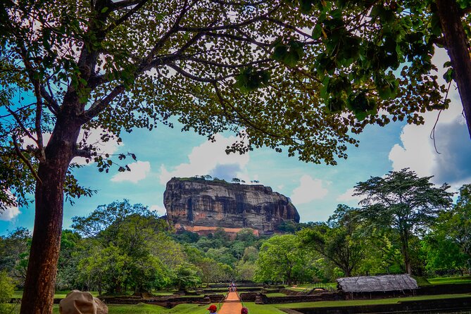 14-Day Private Tour in Sri Lanka - Negombo Beach to Sigiriya Rock Fortress, Start With Sea Air Then History