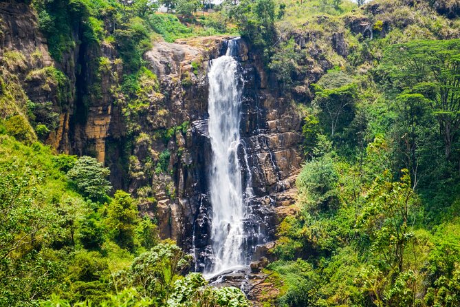 14-Day Private Tour in Sri Lanka - Ella: Nine Arches Bridge Plus Flying Ravana Zipline (If You Want the Adrenalin)