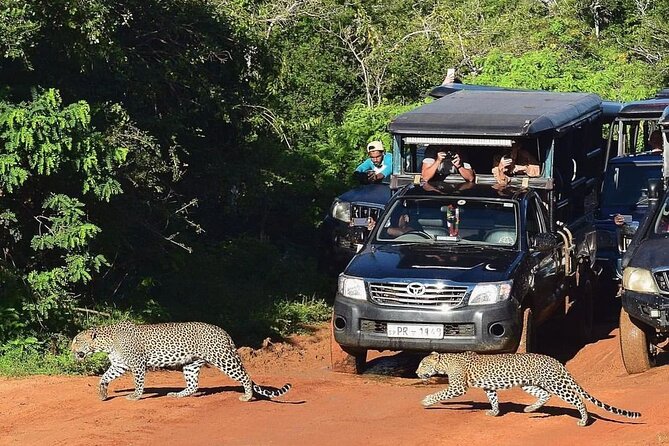 14-Days Private Tour in Sri Lanka with Pick Up - Ella by rail and viewpoint hikes: Nine Arches to Little Adams Peak