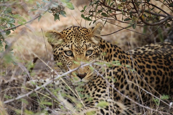 14 Days Sri Lanka Tour - Explore Sri Lanka - Kandy planning: spice garden as an option, then dance and the Tooth Relic (Days 4-5)