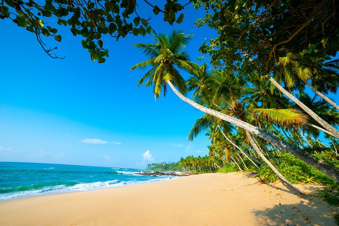 14 Days Tour in Sri Lanka - Fortnight Expedition with Luxury Hotels - Why this Sri Lanka route makes sense for 14 days
