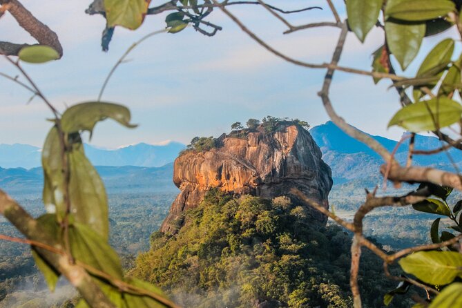 15-Day Tour in Sri Lanka with Private Driver - Private driver across Sri Lanka: what it buys you in time