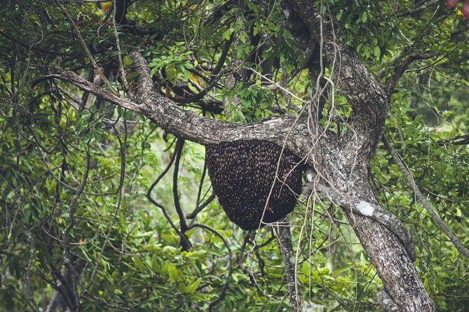 15-Day Tour in Sri Lanka with Private Driver - Ella by train, Little Adam’s Peak, and the Gregory Lake set