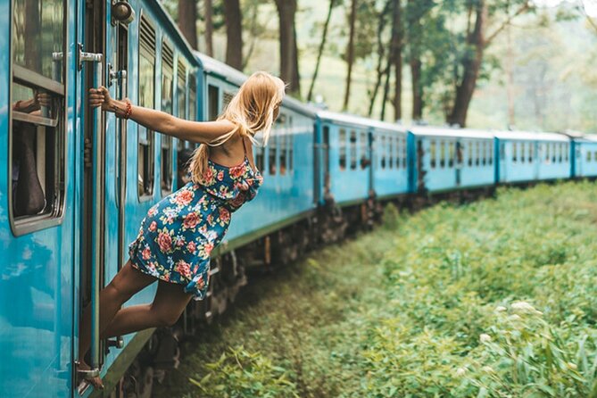 2 Day Tour of Yala & Ella with Hill Country Scenic Train Ride - All Inclusive - Yala National Park at first light, with your own safari jeep