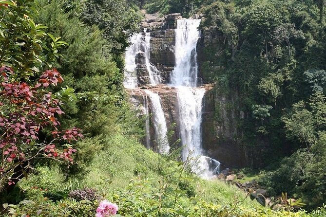 2 Day Tour of Yala & Ella with Hill Country Scenic Train Ride - All Inclusive - Kelliebedde tea factory: seeing tea production beyond the souvenir shop