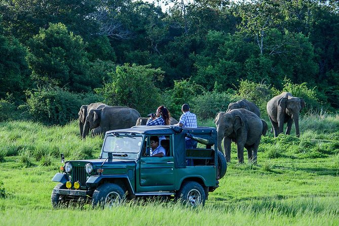 2 Days Tour of Double Safari (Yala & Udawalawe) - All Inclusive - Double Safari with Yala and Udawalawe, minus the scramble