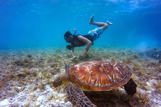 2 hours Private Snorkeling tour in Unawatuna - How the 2-Hour Private Snorkeling Tour in Unawatuna Really Feels