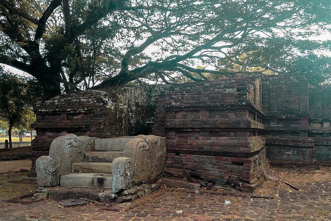 3 Ancient Kingdoms from Colombo - Yapahuwa Rock Fortress: steep stairs, stone lions, and that hilltop stupa view