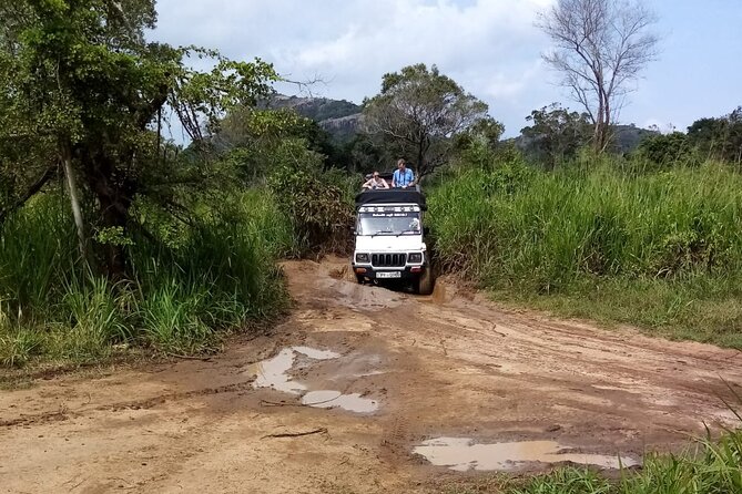 3 Day Private Tour from Negombo to Sigiriya and Kandy - Day 2: Pidurangala Rock views, then Polonnaruwa ruins in a full UNESCO day
