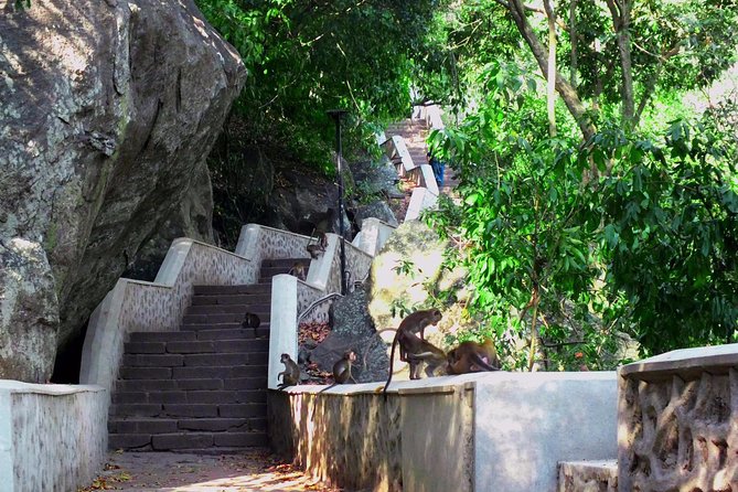 3 Day SriLanka Cultural Tour:Dambulla/ Sigiriya/ Polonnaruwa / Minneriya/ Kandy - Sigiriya Lion Rock: One Ancient Site, Big-Name Presence