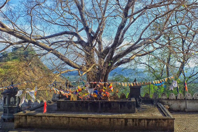 3 Day SriLanka Cultural Tour:Dambulla/ Sigiriya/ Polonnaruwa / Minneriya/ Kandy - Should You Book This 3 Day Sri Lanka Cultural Tour?