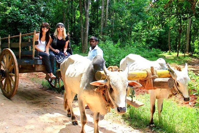 3 Days Glimpse Of Sri Lanka - Minneriya National Park safari, elephants are the star, wildlife is the bonus