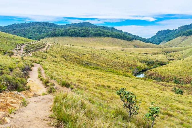 3 Days Nature and Chill Tour of Ella, Nuwara Eliya and Haputale - Price and logistics: what $180 per group really means