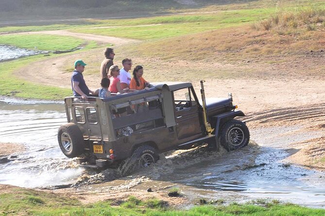 3 Days Private Tour of Yala Safari/ Ella/ Kandy - All Inclusive - Tea at Damro Labookellie, then the Ramboda Falls stop