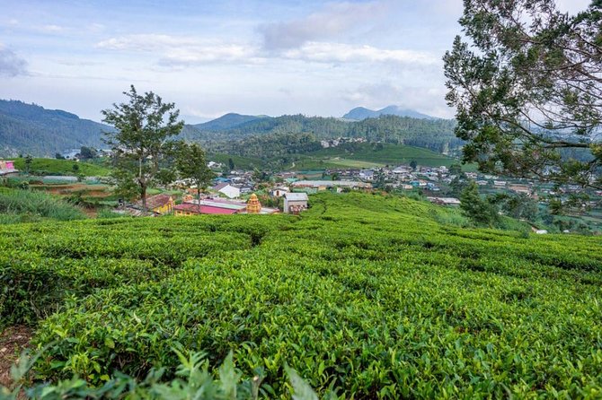 3 Days Tour to Kandy, Nuwara Eliya & Sigiriya - Price, value, and the big question: is $400 fair for your style?