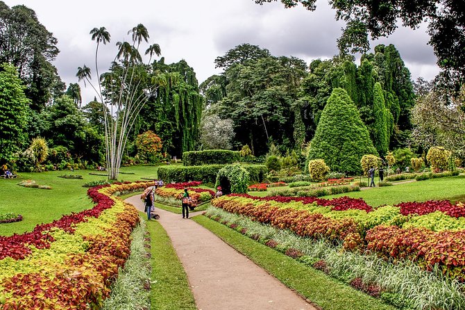 3 Days Tour to Kandy, Nuwara Eliya & Sigiriya - Should you book 3 Days Tour to Kandy, Nuwara Eliya, and Sigiriya?
