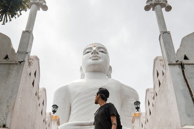4 Days Private Tour In Sri Lanka - Private chauffeur comfort that keeps the days sane