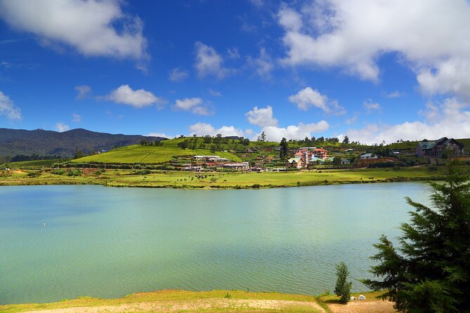 5 Day Multi-City Sightseeing Tour - Day 4: Tea estates, Devon Falls, Gregory Lake, Nine Arches Bridge, and Ravana’s Cave