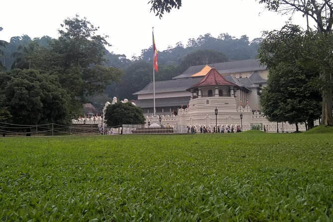 5 Day Private Tour Sri Lanka - Why this 5-day Sri Lanka route feels like a smart hit list