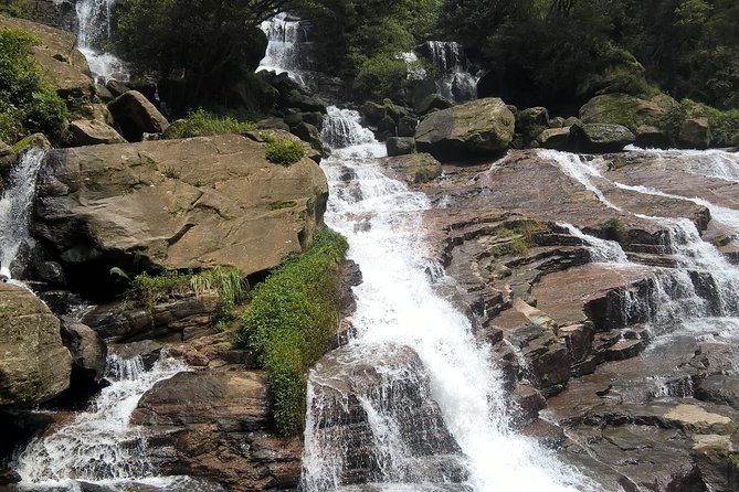5 Day Private Tour Sri Lanka - Price and logistics: what $5.50 per person really means for your budget