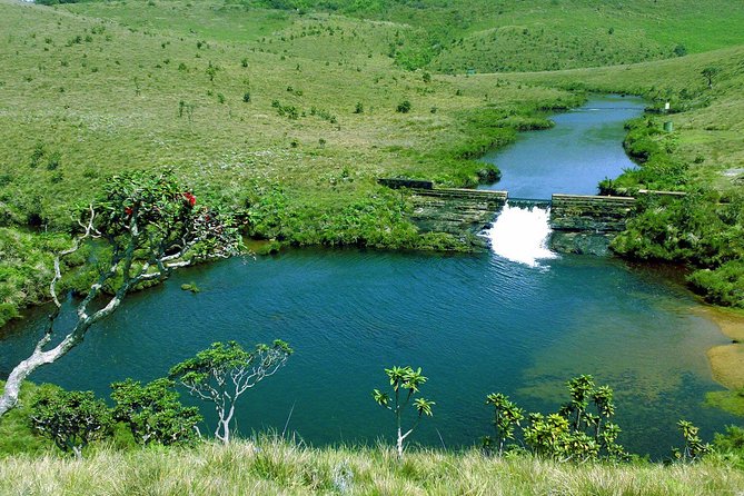 5-Day Sri Lanka Central Highlands Tour - Day 5 back to Colombo: keep the pace, make the flight