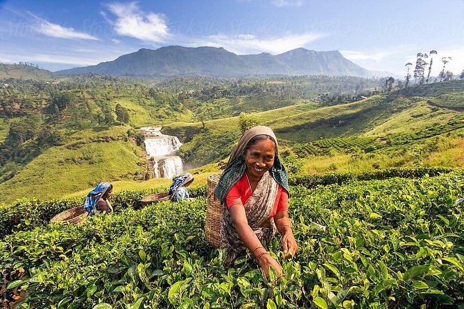5-Day Sri Lanka Central Highlands Tour - Day 1 in Colombo Fort: a gentle start before hill country days