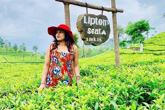 5 DAYS BUDGET TOUR package in Sri Lanka - Entering the route: what this 5-day Sri Lanka plan is really like