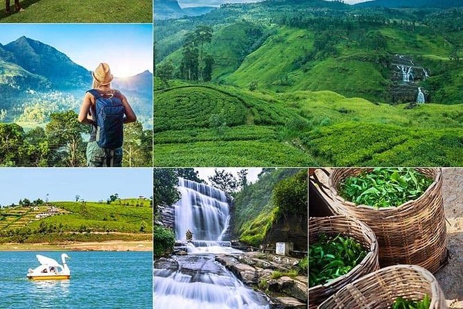 5 DAYS BUDGET TOUR package in Sri Lanka - Day 1 in Kandy: Bahirawakanda, Peradeniya orchids, and a cultural show