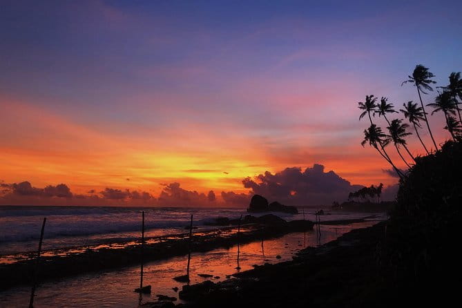 5 Days Sri Lanka Tour package - Day 5: Smooth airport wrap-up after breakfast