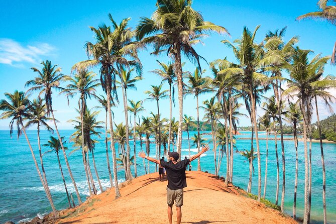 5 Days Tour In Sri Lanka - Airport Pickup in Colombo, and How the Route Gets You Back