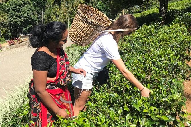 5 Days Tour in Sri Lanka (Hotels with Breakfast & Luxury Car) - The driving makes or breaks it: what a strong driver changes