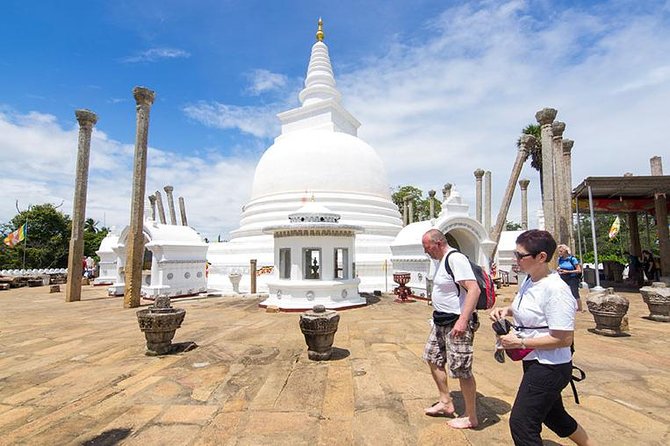 7-Day Culture and Heritage tour of Sri Lanka - Key Highlights You’ll Actually Feel on This Trip