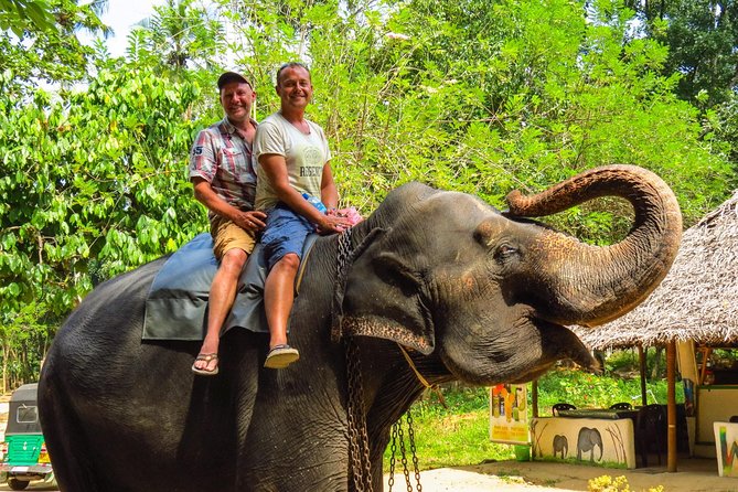 7 Days 6 Nights Package Tour with Holiday Walkers Sri Lanka - Day 2 in Kandy: Sacred Tooth Relic and Kandyan dance night energy