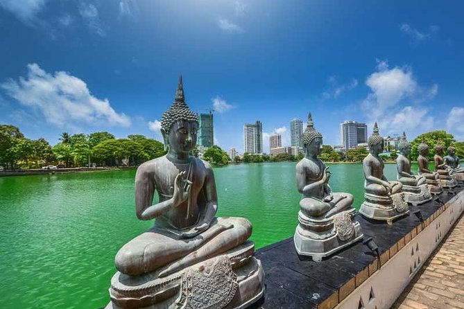 7 Days 6 Nights Package Tour with Holiday Walkers Sri Lanka - Day 4: Ambewela Farms and Bomburu Ella waterfall