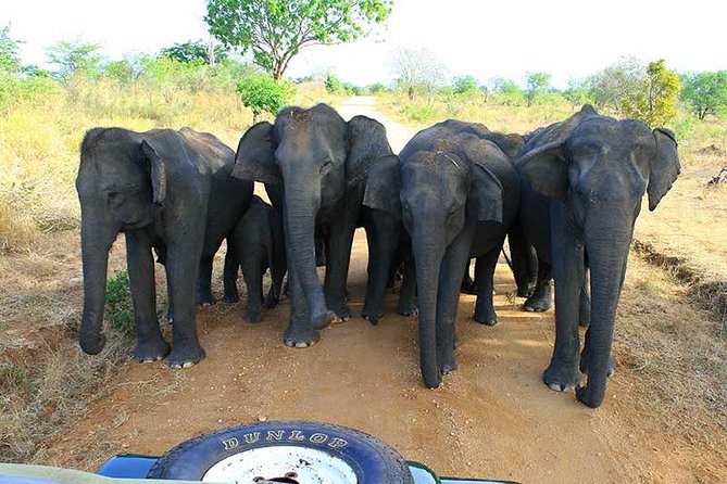 7 Days 6 Nights Package Tour with Holiday Walkers Sri Lanka - Day 6 beach sweep: Mirissa, Galle Dutch Fort, Unawatuna, and Hikkaduwa